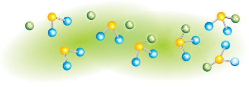 image-asset